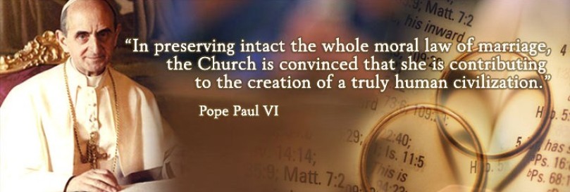 Image result for humanae vitae